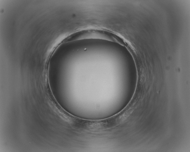 X0000074311367200609011502