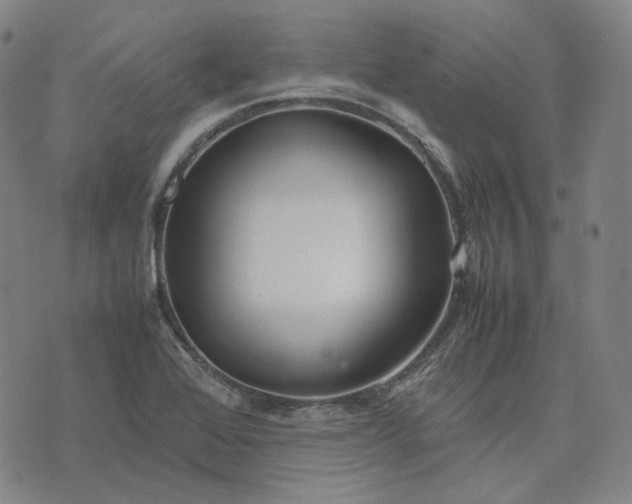 X0000074311368200609011502