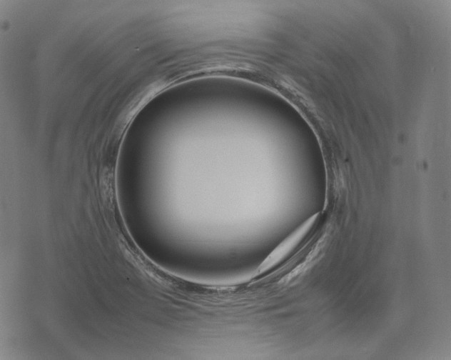 X0000074311369200609011502