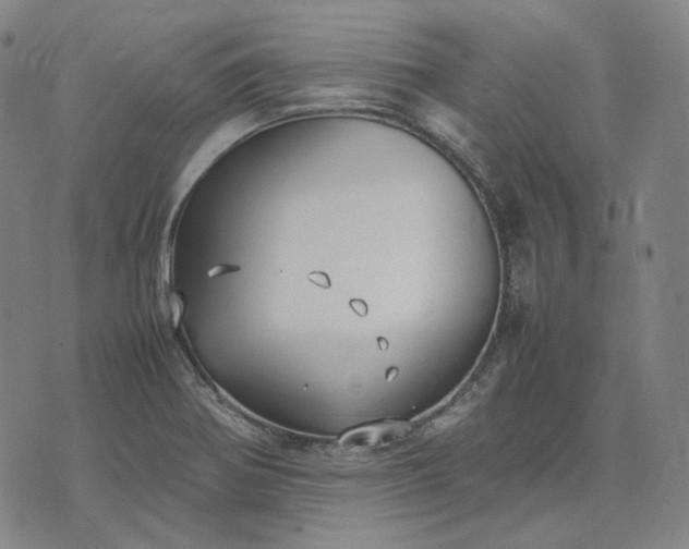 X0000074311370200609011502