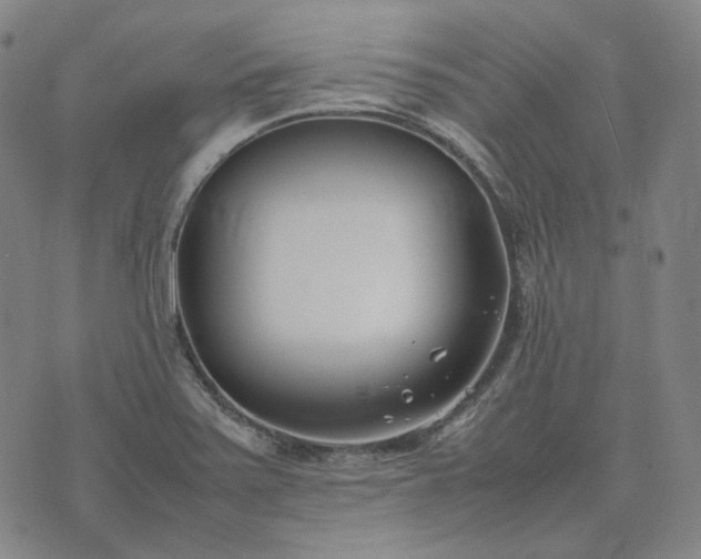 X0000074311371200609011501