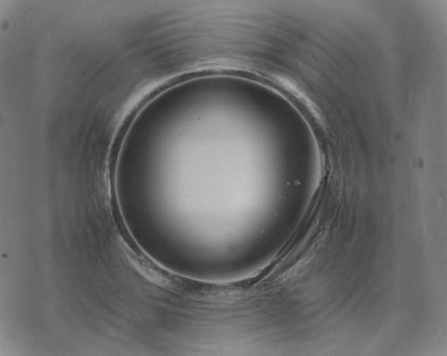 X0000074311372200609011501