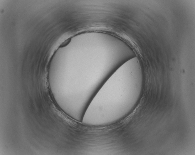 X0000074311374200609011501