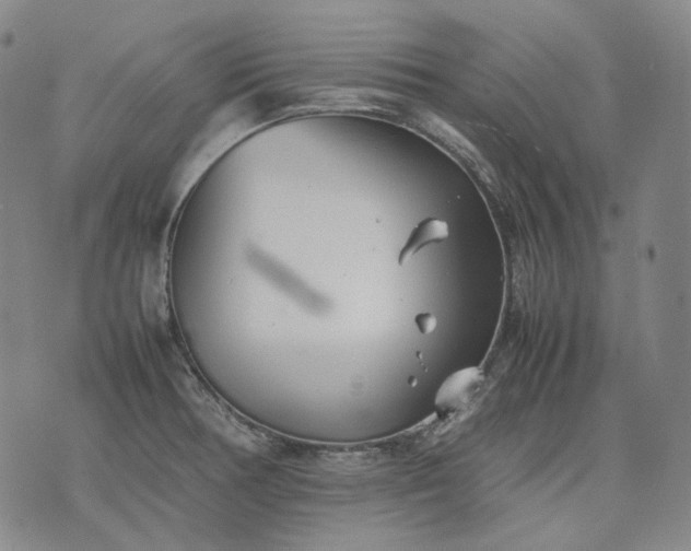 X0000074311378200609011501