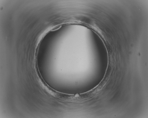 X0000074311379200609011501