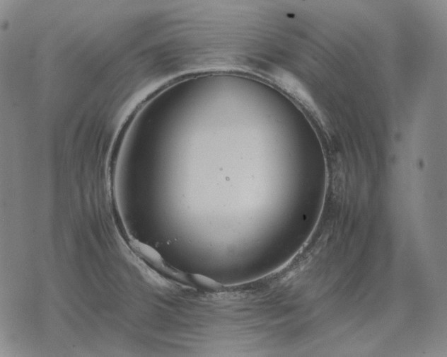 X0000074311380200609011501