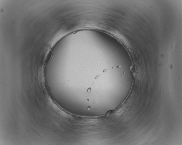 X0000074311382200609011501