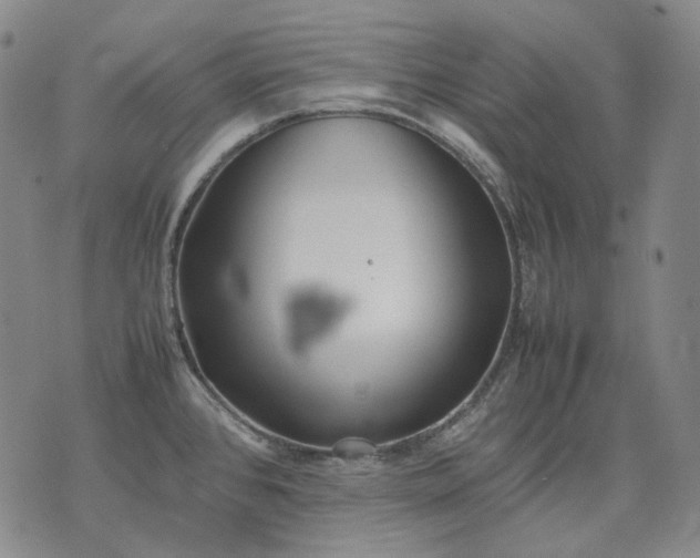 X0000074311384200609011501