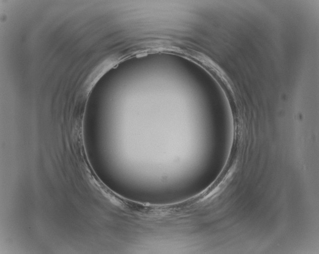 X0000074311385200609011501