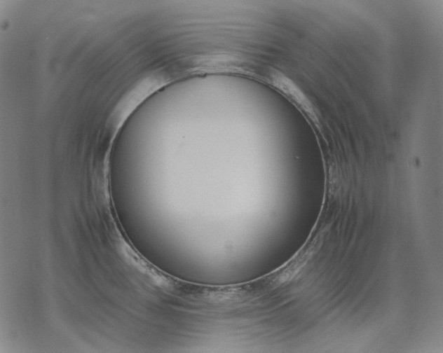 X0000074311386200609011501