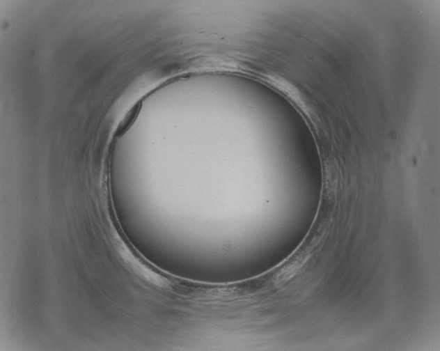 X0000074311387200609011501