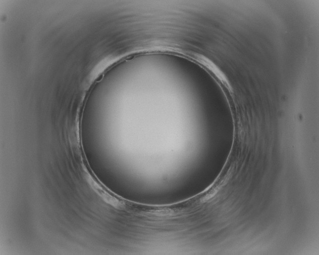 X0000074311388200609011501