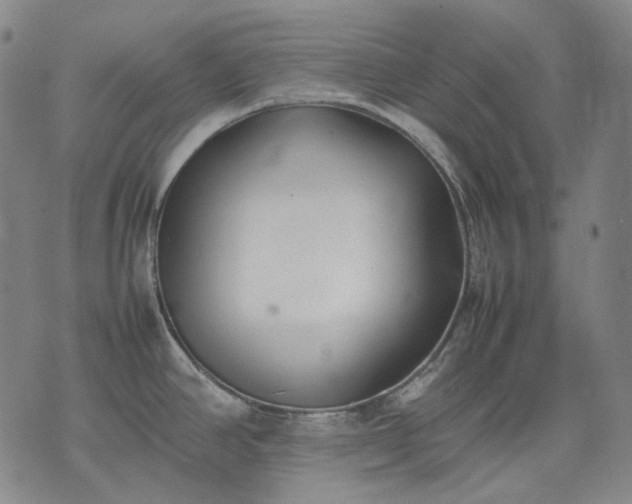 X0000074311390200609011501