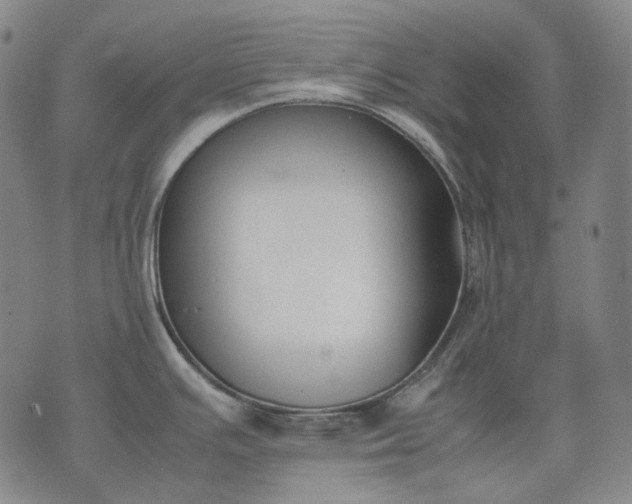 X0000074311391200609011501