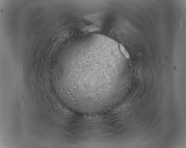 X0000074311393200609011500