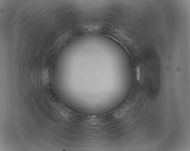 X0000074311395200609011500