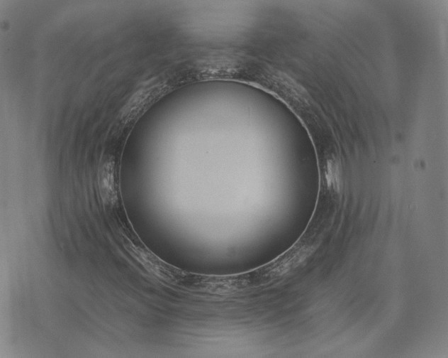 X0000074311396200609011500