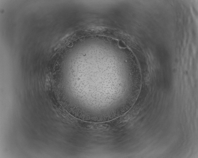 X0000074311397200609011500