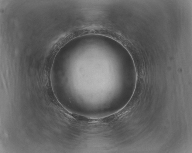 X0000074311398200609011500