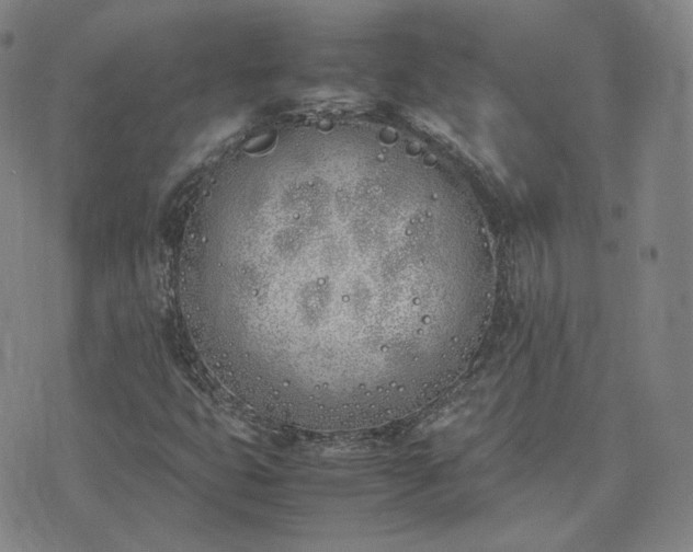 X0000074311399200609011500