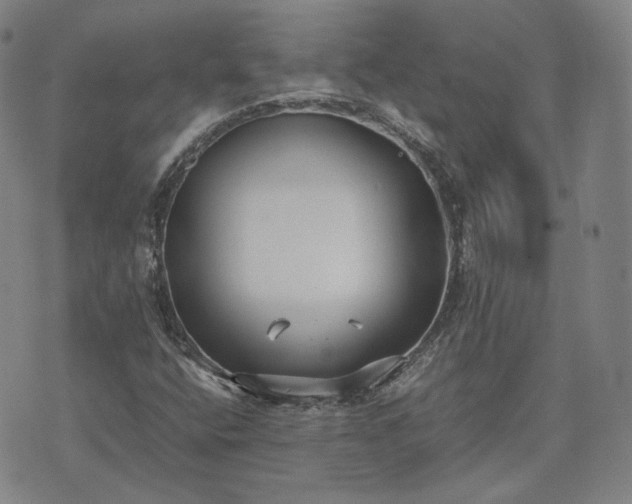 X0000074311400200609011500