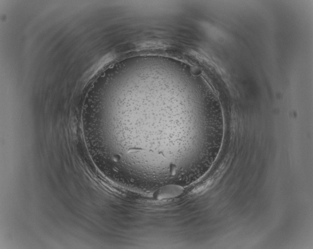 X0000074311401200609011500