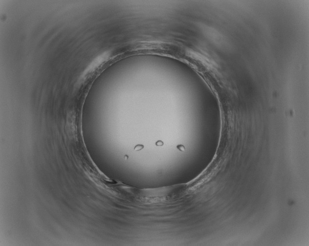 X0000074311403200609011501