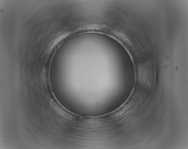 X0000074311404200609011501