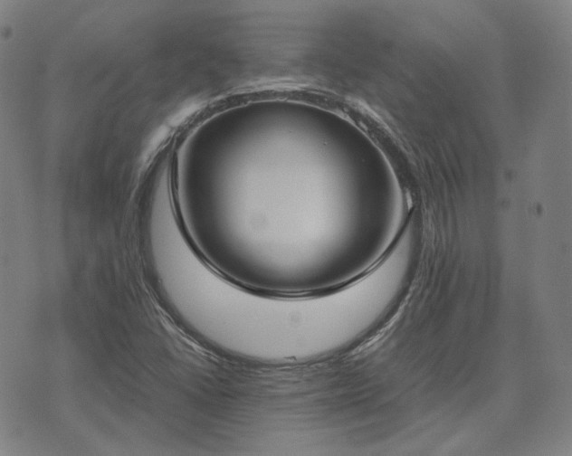 X0000074311406200609011501