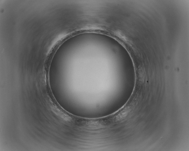 X0000074311408200609011501