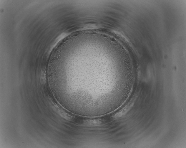 X0000074311409200609011501