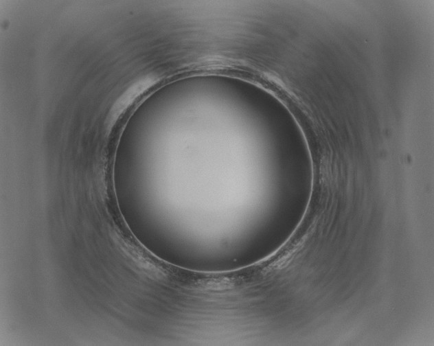 X0000074311410200609011501