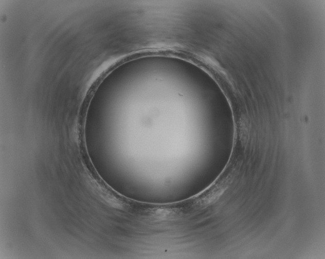 X0000074311412200609011501