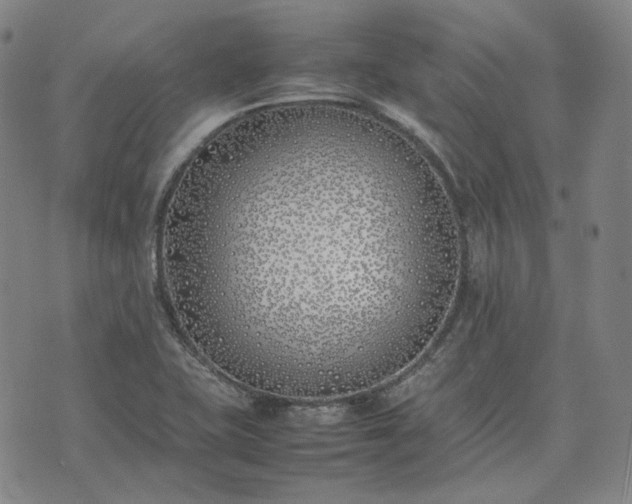 X0000074311415200609011501