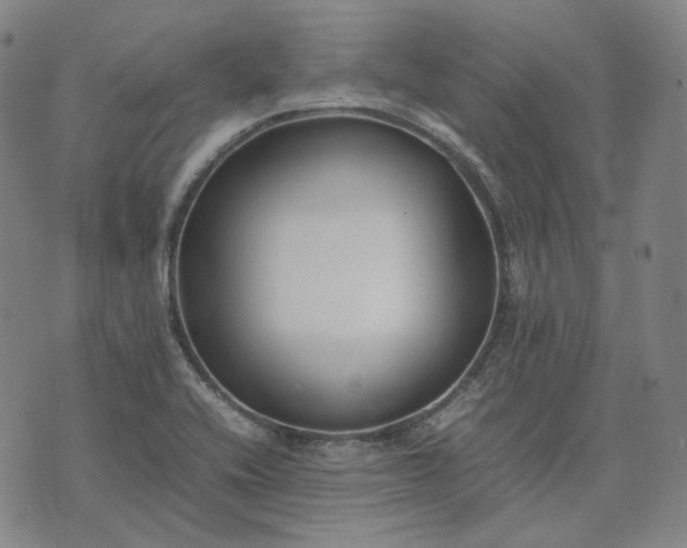 X0000074311416200609011501