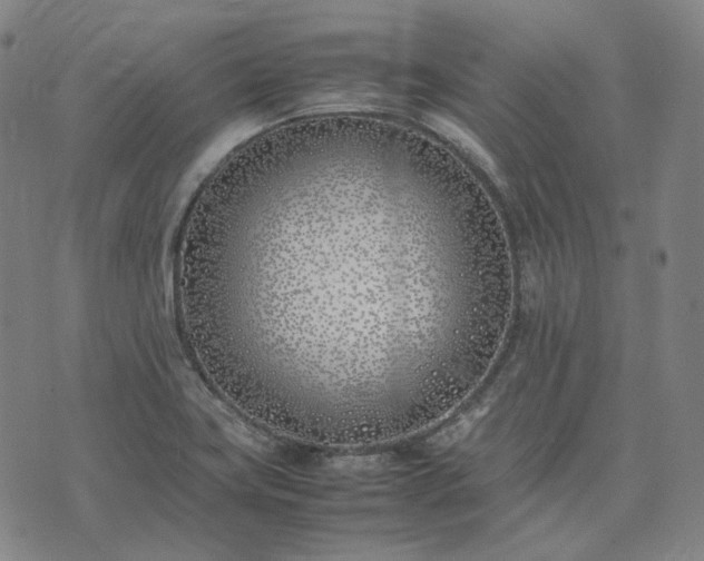 X0000074311419200609011501