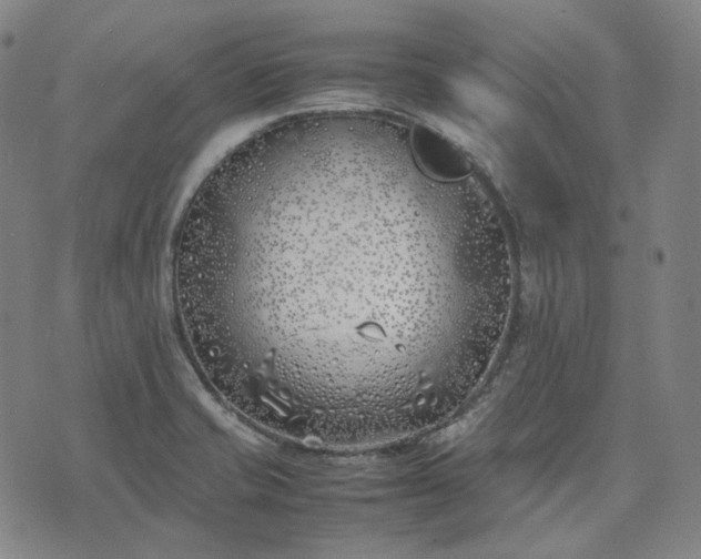 X0000074311421200609011501