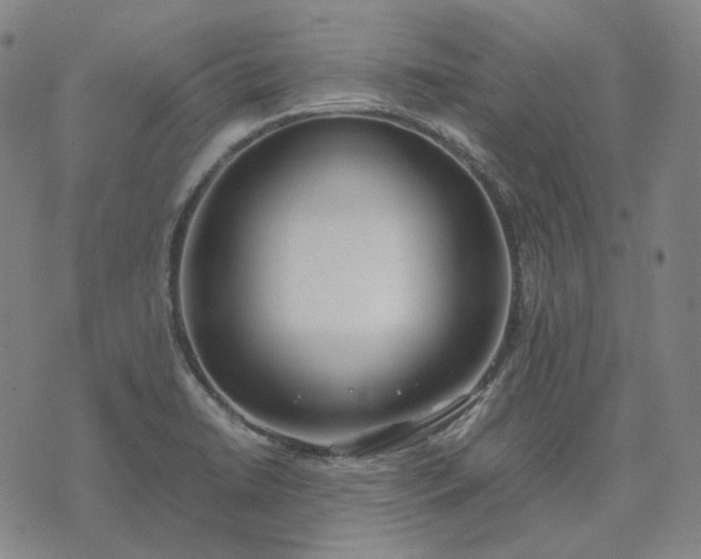 X0000074311422200609011501