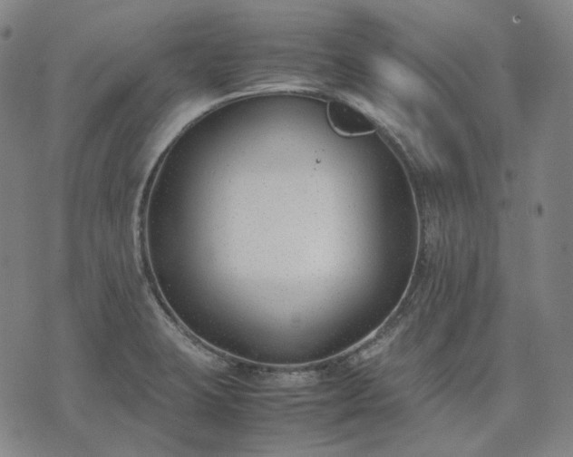 X0000074311423200609011501