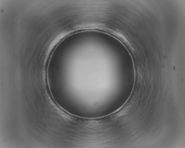 X0000074311424200609011501