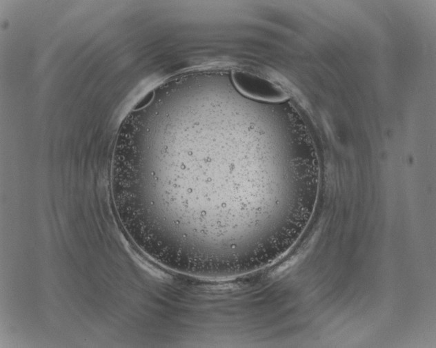 X0000074311425200609011501