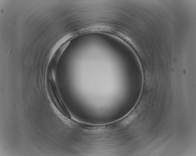 X0000074311426200609011501