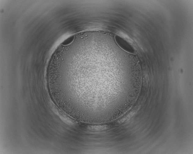 X0000074311427200609011501