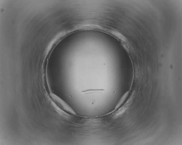 X0000074311430200609011501