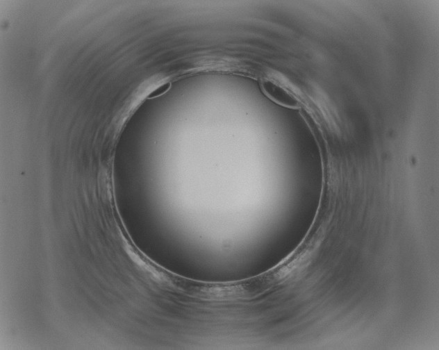 X0000074311433200609011501