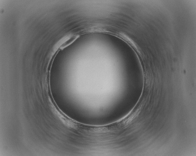 X0000074311434200609011501