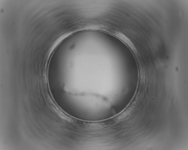 X0000074311436200609011501