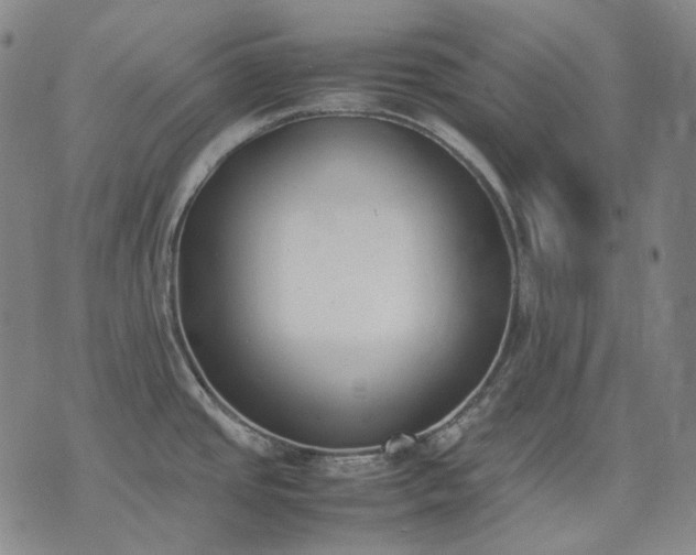 X0000074311437200609011501