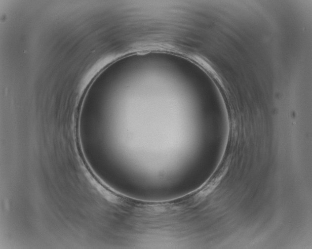 X0000074311438200609011501