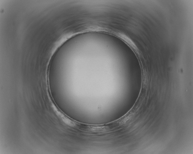 X0000074311439200609011501